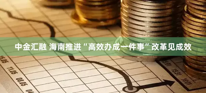 中金汇融 海南推进“高效办成一件事”改革见成效