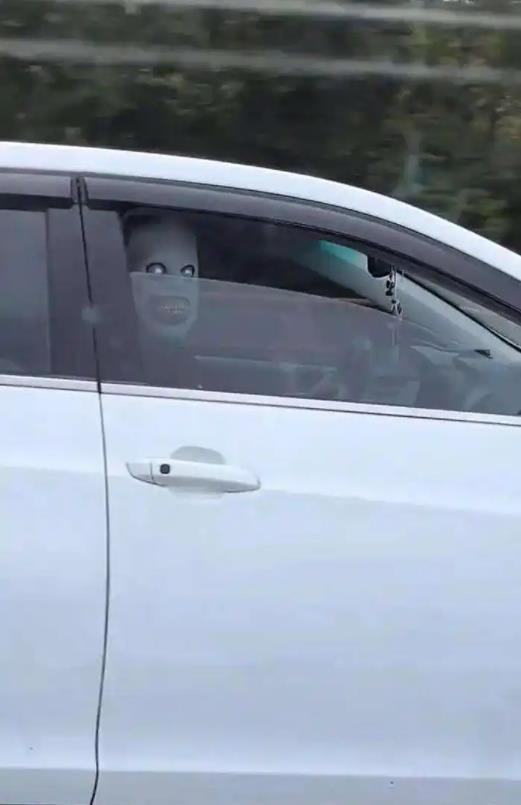 通联随配 网友称“有人戴恐怖面具故意惊吓高速车辆”，知情人回应：并非故意吓人，面具是为节日准备，拍视频的人先放缓车速摇下车窗拍