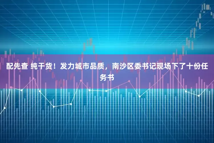 配先查 纯干货！发力城市品质，南沙区委书记现场下了十份任务书